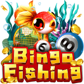 pair play Bingo Fishing game